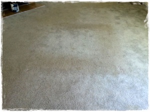 Carpet_Before